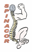 spinacor logo